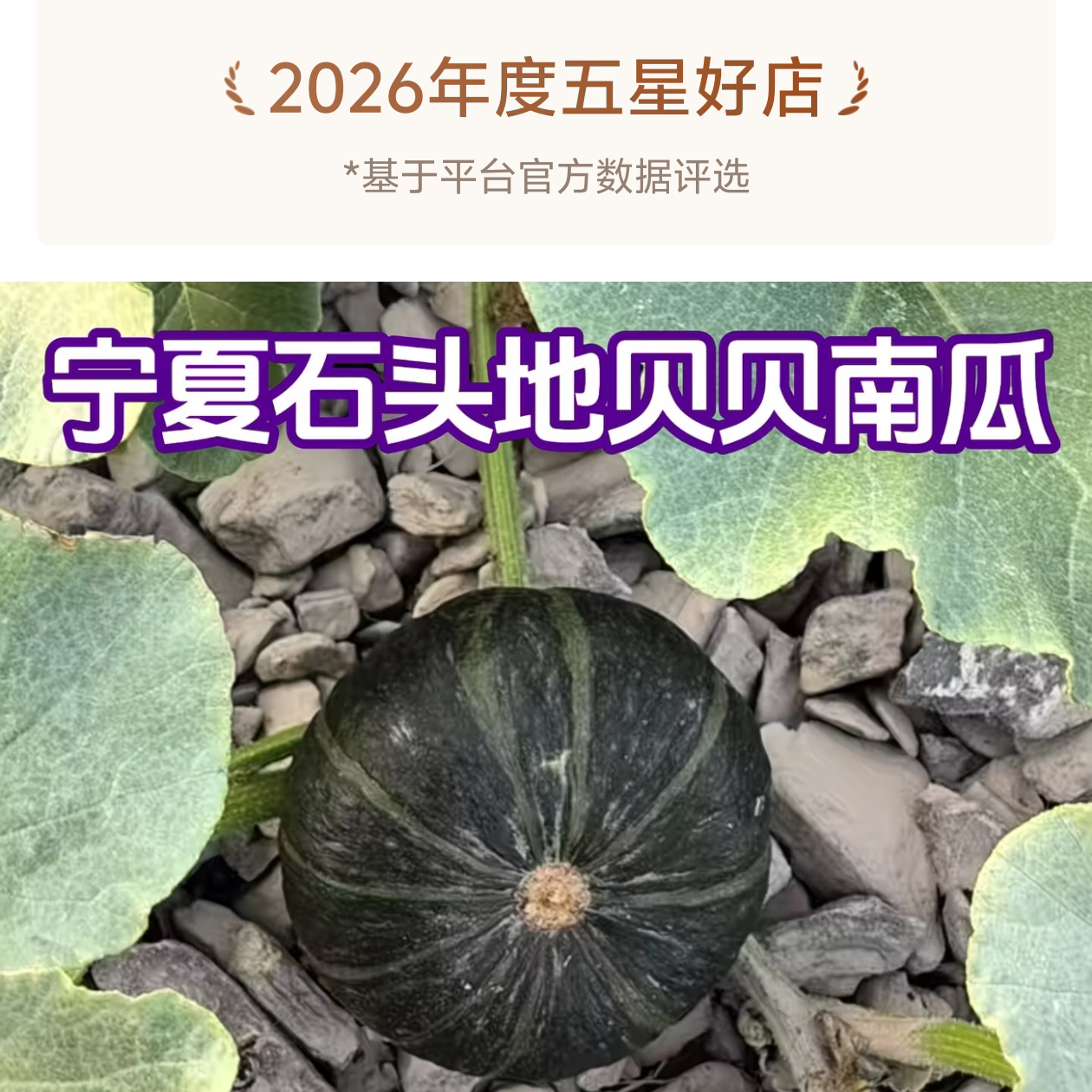宁夏石头地种植贝贝南瓜新鲜粉糯老人孕妇小孩蒸煮炒炖营养餐