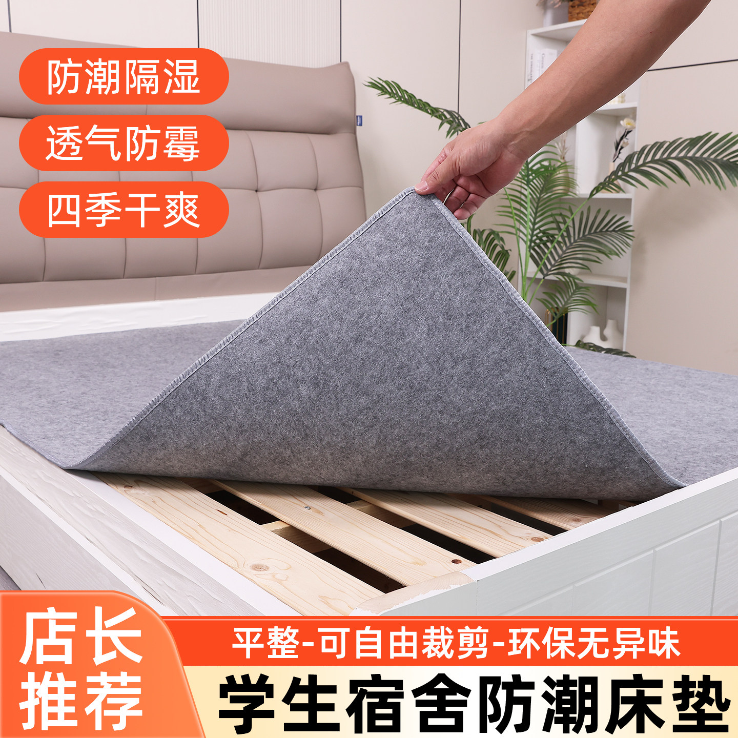 防潮垫床上用学生宿舍吸湿床垫