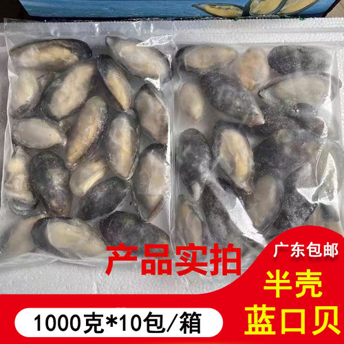 半壳冷冻蓝口贝 青口贝 黑口贝 贻贝淡菜 冷冻贝壳类海鲜 1箱20斤