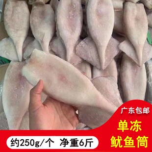 新鲜冷冻鱿鱼筒鱿鱼片鱿鱼去内脏铁板鱿鱼圈炒菜食材商用整箱8斤