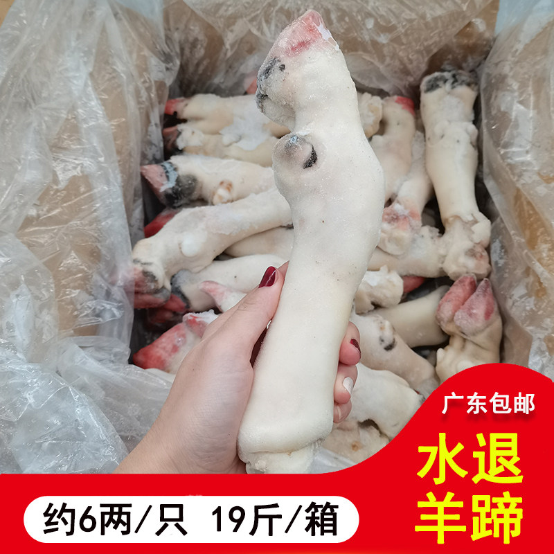 羊蹄子 羊脚 羊抓 生羊蹄 羊肉熟 清真新鲜冷冻羊肉 广东包邮19斤