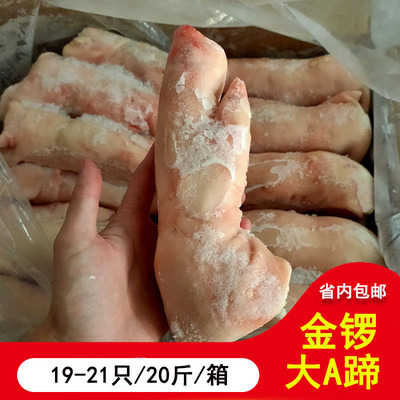 新鲜冷冻无毛整箱猪手