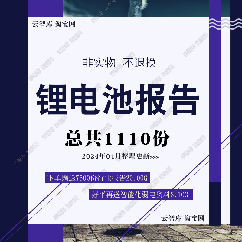 2024锂行业锂电池产业分析报告锂电池产业链锂电材料分析报告素材