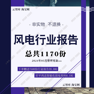 2024年风电行业报告风电产业海风力发电产业现状能源发展趋势报告