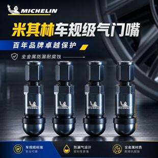 米其林车规级气门嘴全金属防漏耐腐蚀汽车轮胎气门芯正品