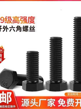 12.9级全牙/半牙外六角螺栓淬黑