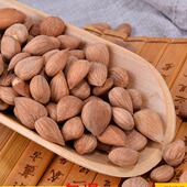 山西大同特产阳高杏仁500g新货原味现炒制香酥好吃孕妇坚果零食