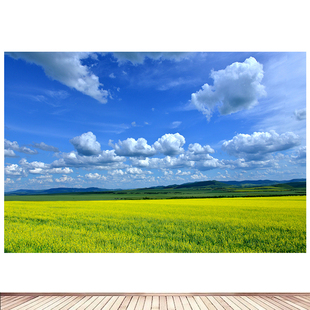 简约现代装饰画大自然草原大草原风景画海报定制房间贴墙画84