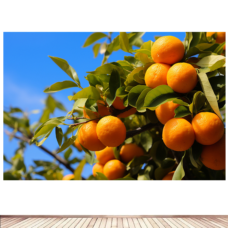 简约现代装饰贴画果园里水果橘子丰收海报定制餐厅背景墙贴画9图片