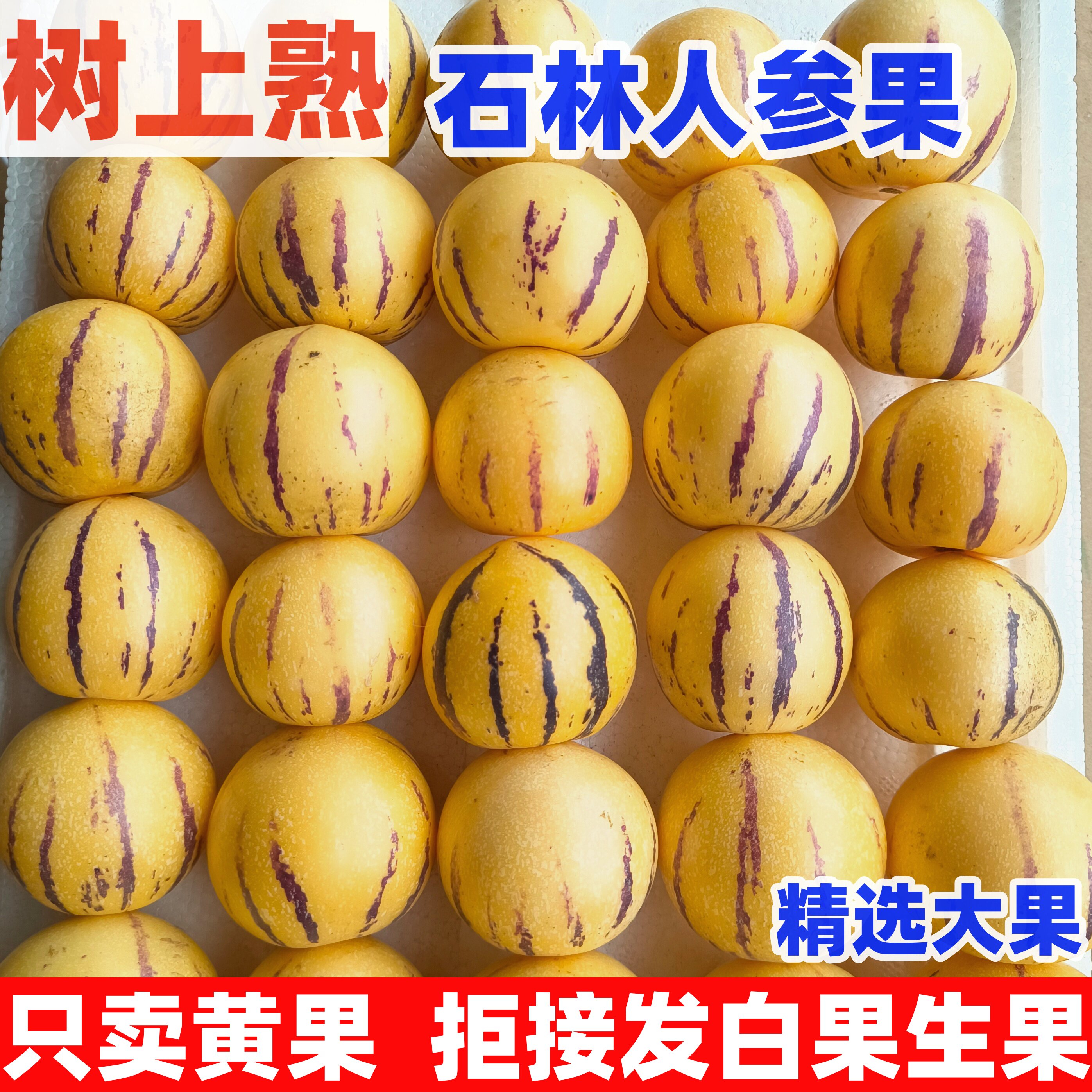 云南石林树上熟人参果人生果水果圆果大果新鲜现摘黄肉黄心人叁果
