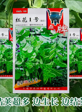 红花1号扁豆种子鼎牌早熟高产基地推荐猪耳朵荚绿白色春夏秋蔬菜d