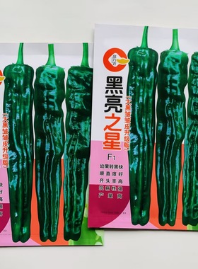 黑亮之星皱皮椒种子早熟高产薄皮辣椒籽抗病抗逆性强皮薄深绿色k