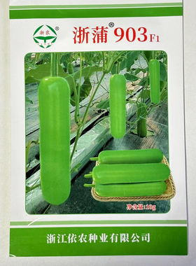浙蒲903瓠瓜种子熟性早瓜皮绿色色泽亮丽商品性佳中棒形春季蔬菜F