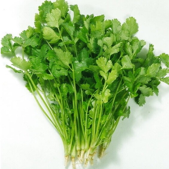 Four seasons Big leaf Parsley aroma Cold-resistant balcony Potted plant Four seasons Autumn and winter Vegetable seeds Vegetables seedin the Flower delivery/Flowers simulation/Plants gardening , Flowers/Fruits and vegetables/Lawn seed (New) , Home &amp; Garden Seeds  category - from Buy2taobao.com to provide professional Taobao agent buy service