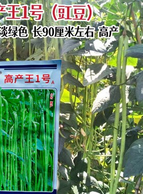 万帮高产王1号长豆角种籽喜温耐热高产厚肉红籽特长豇豆种子大田