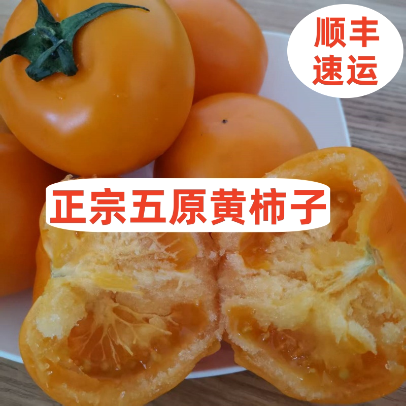 正宗五原大黄柿子沙瓤自然熟黄色西红柿新鲜水果生吃番茄现摘现发