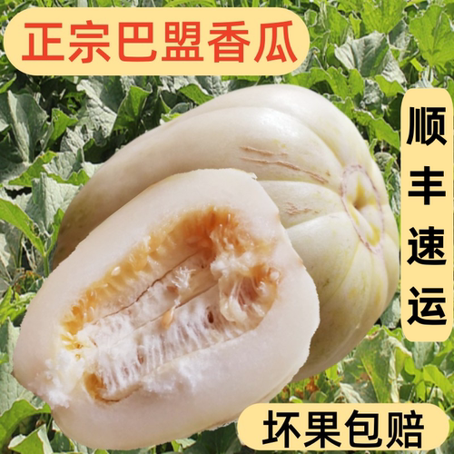 正宗巴盟香瓜5斤内蒙当季新鲜时令水果白梨脆甜瓜蜜瓜整箱哈密瓜