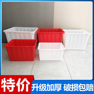 加厚熟胶塑料水箱养鱼养龟水产养殖水箱特厚大号收纳周转箱储水桶