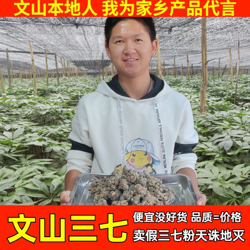 云南文山三七粉15头18头20头30头田七无剪口超细粉500克现磨罐装