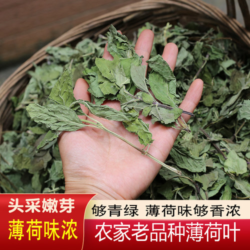 农家正品广东薄荷叶清醒茶花草茶