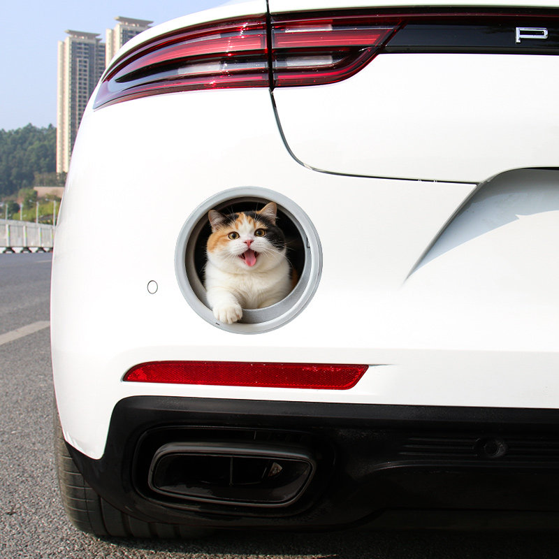3D立体蓝猫布偶狸花划痕贴