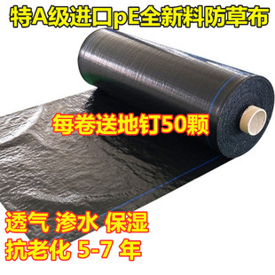 防草布除草布耐用果树农用防杂草大棚园艺地步PE黑色透气渗水抑膜