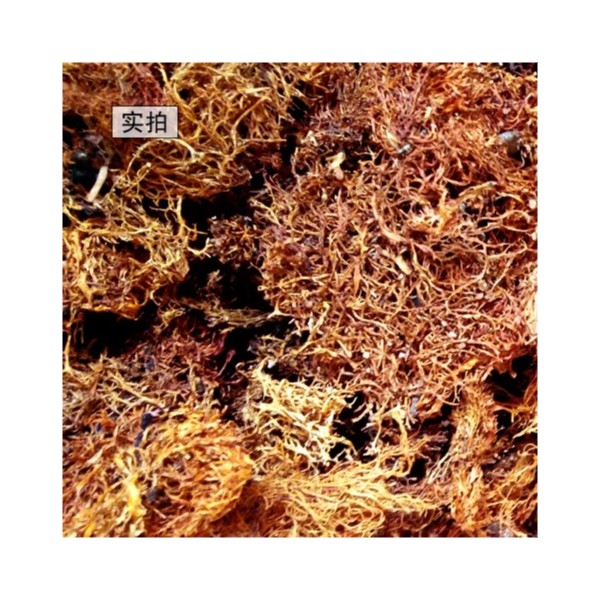 云南特产 山菜干货野菜 灰树花 树胡子龙须菜食用 树花菜500g包邮