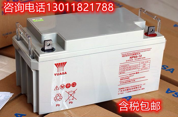 汤浅蓄电池YUASA NP65-12 12V65AH UPS 直流屏太阳能通讯电力电源