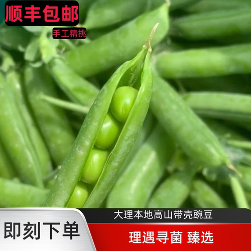 顺丰直发大理三斤装五斤装新鲜豌豆带壳现摘现发高海拔气候甜口