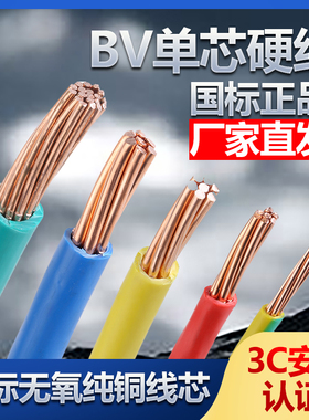 家用BV10国标铜线16 25 35 50 70平方铜芯多股单芯阻燃家装电缆