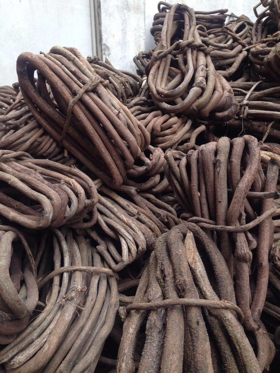 野山藤红山藤枯藤条紫藤木木藤藤条藤蔓树藤干藤枯藤真藤条山藤条