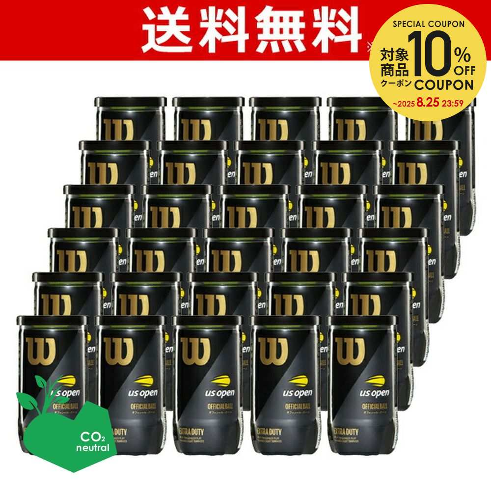 日本代购Wilson威尔胜大师赛法网美网专业比赛网球2粒装60个球