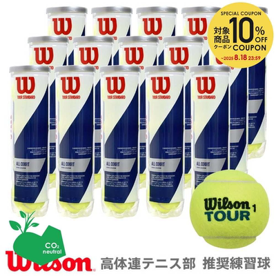 日本代购Wilson威尔胜比赛网球初学训练专业练习用球成人4粒装