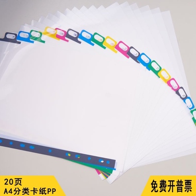 钊盛ZS-20PC分页纸塑料20页标签索引页活页夹隔页纸A4文件分隔页
