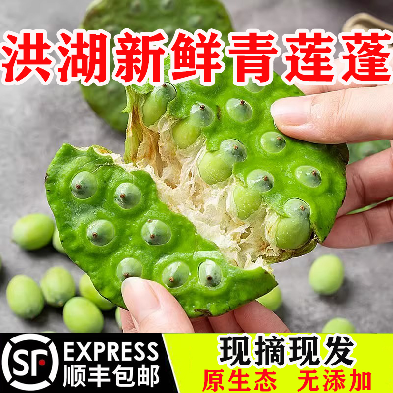顺丰包邮洪湖新鲜莲蓬生吃现摘青莲蓬即食莲子米甜嫩孕妇水果莲蓬