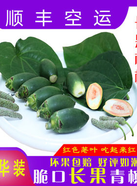 青槟榔海南长果生槟榔现摘现发