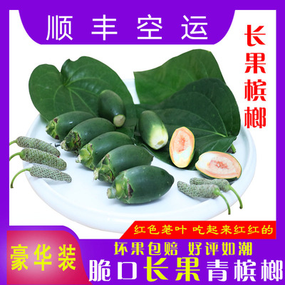 青槟榔海南长果生槟榔现摘现发