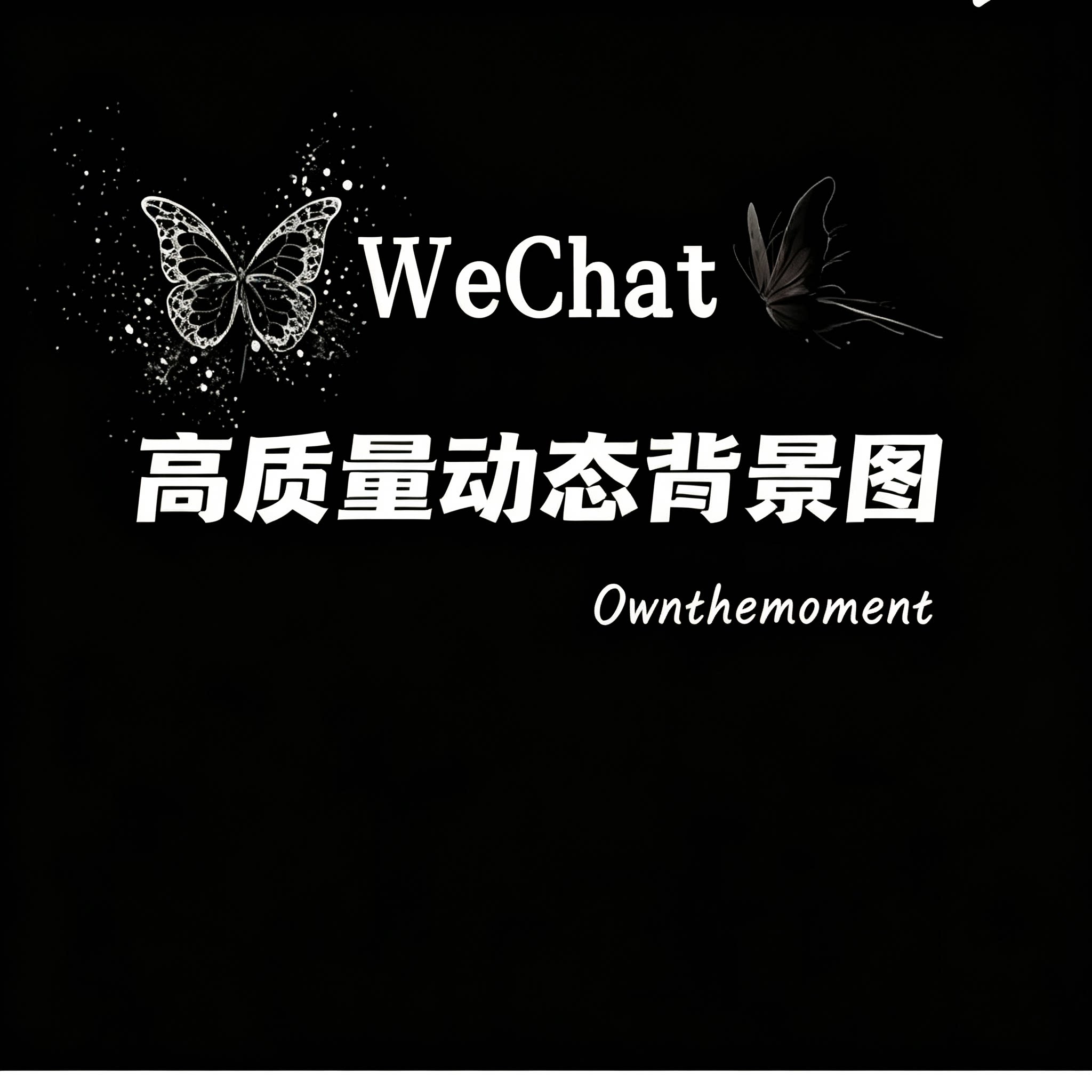 微信动态背景图素材WeChat高质量动态壁纸背景图