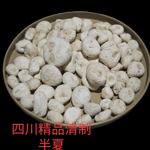 正品精品制清半夏四川产真品清制半夏制旱半包邮野生干货中药材