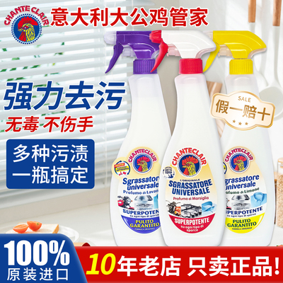 意大利多功能强力去污剂重油污