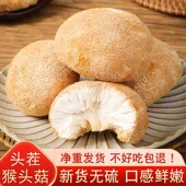 猴头菇新货500克煲汤食材干货养胃佳品农科院推荐