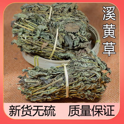 广东野生中草药材溪黄茶