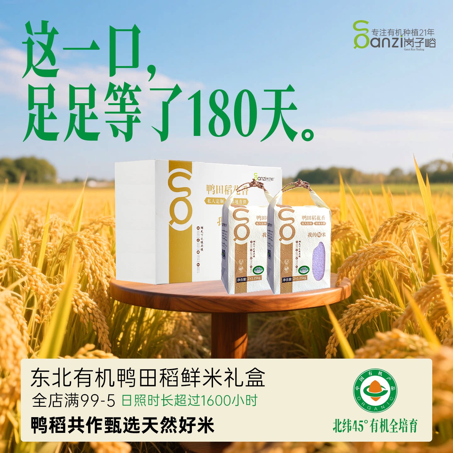 2025年新米岗子峪鸭田稻东北有机大米稻花香米春节送礼5kg/10斤装