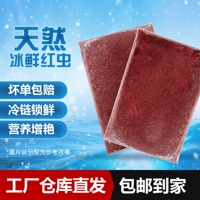新鲜冷冻一斤一板营养冷冻红虫血虫赤虫冰冻鱼粮红线虫罗汉七彩鱼