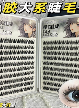 假睫毛免胶免卸自然仿真浓密款漫画狗狗圆眼犬系懒人睫毛书初学者