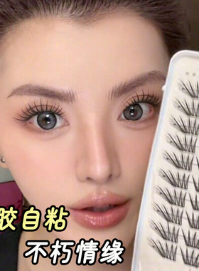 免胶自粘狐系假睫毛不朽情缘斜飞款仿真嫁接卷翘自然大容量柔软女