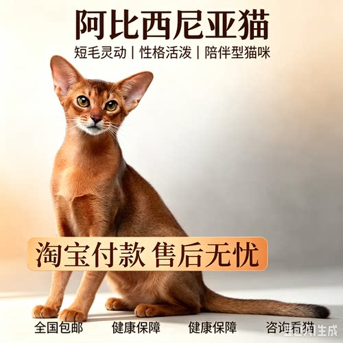 90天健康保障淘宝付款全国包邮