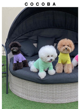 COCOBA宠物狗狗衣服潮牌春秋薄款小中型犬猫咪小奶猫可爱泰迪比熊