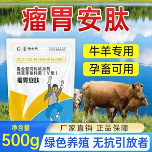 养羊用瘤胃安肽 豫小明瘤胃安肽 牛用瘤胃安肽 牛羊用瘤胃安肽