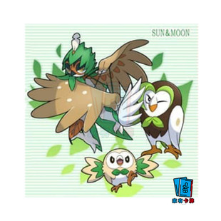 PTCG繁中阿罗拉御三家木木枭投羽枭狙射树枭宝可梦卡牌官方正版